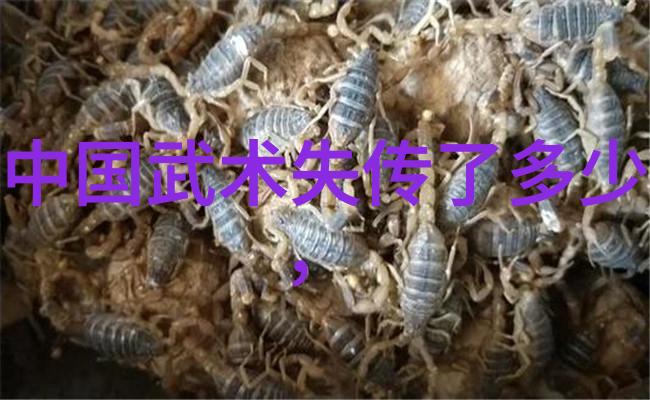中国武术秘籍书-揭秘古代武林一本一本的传承与智慧