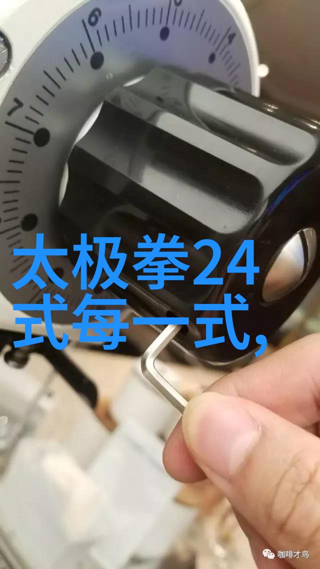 中国功夫中的拳法之谜揭秘千年武术的奥秘
