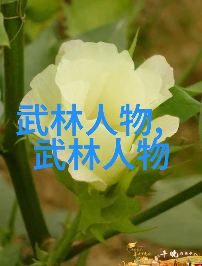 仙气缭绕幽梦幻境中的帮派女巫