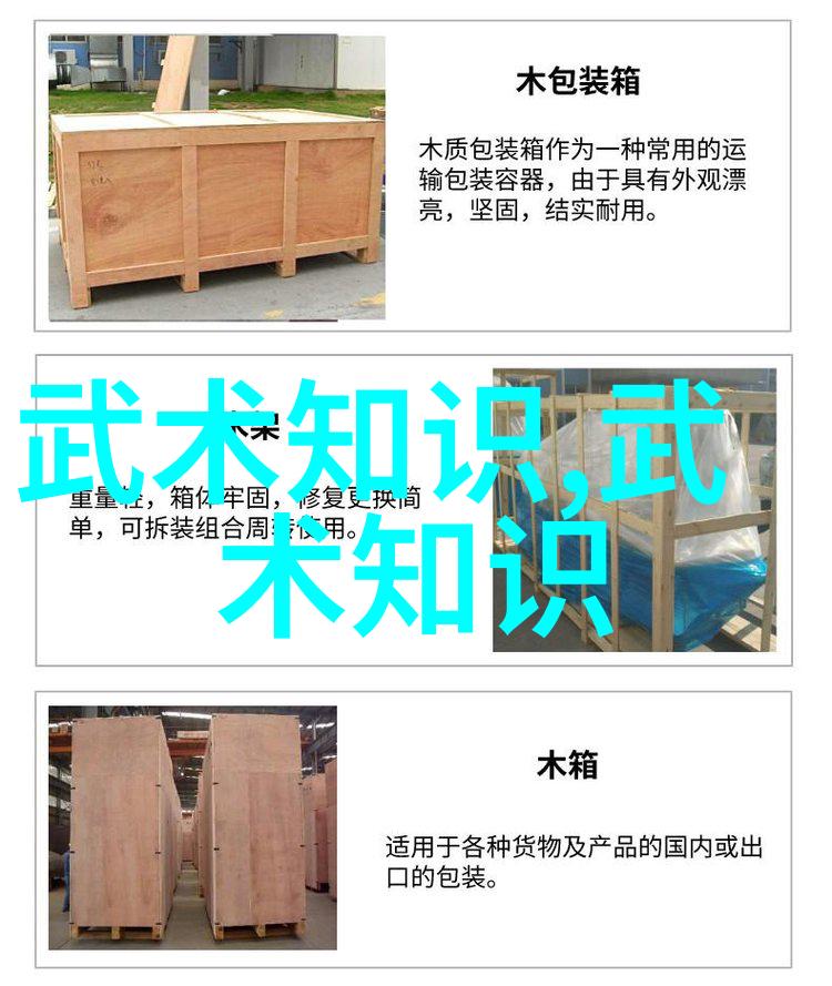 中国武术的千手探秘拳法之旅