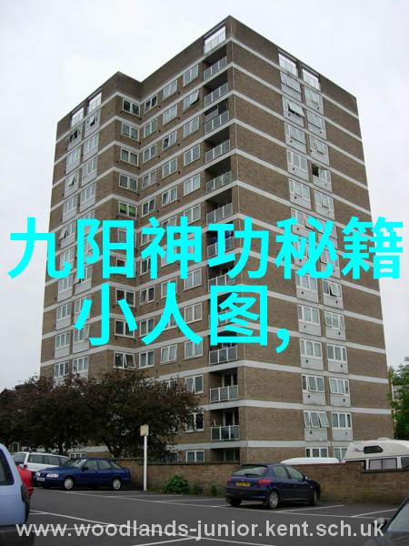 霸道风云億通武术气功