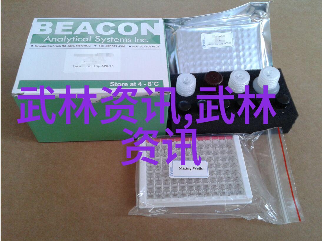 绯闻与传说揭开那些隐藏在暗影下的女生帮派故事