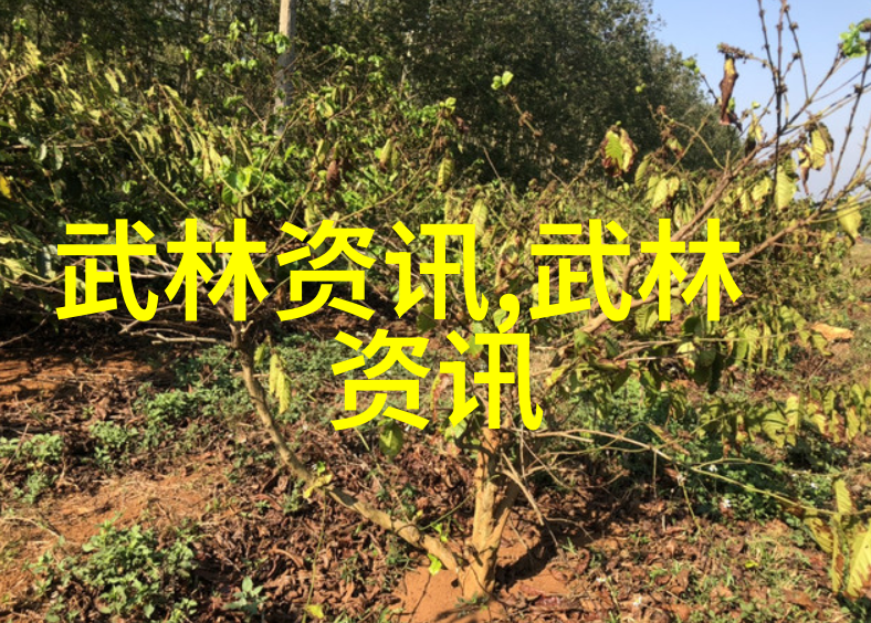 翻开历史长河寻找那些被遗忘的顶尖武技