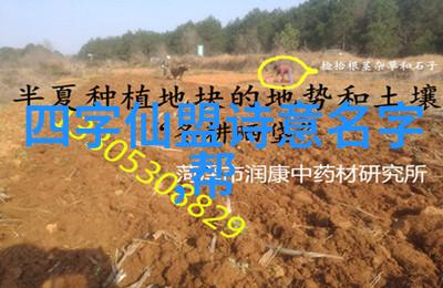 古武入门修炼法论道家思想又该如何