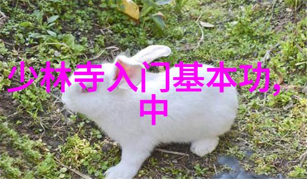这都不是事儿81岁老汉用医疗器械维修技巧仿佛有神力用一根拉力器一下子就拉出了五根钢筋