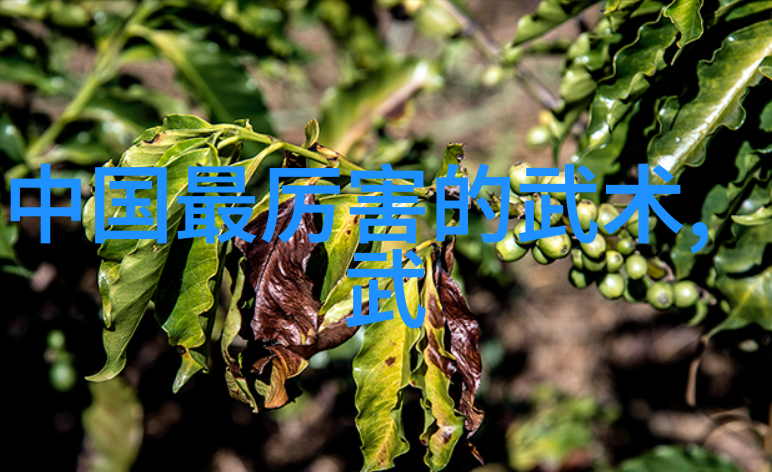李雅轩太极拳论汇编古代武术训练方法之精华