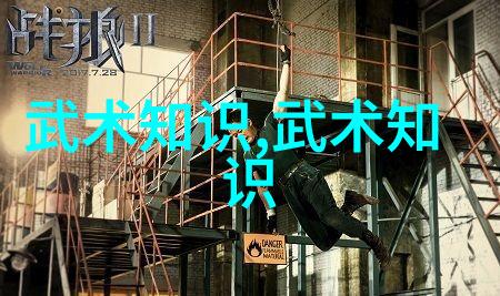 隐世武林功夫之谜