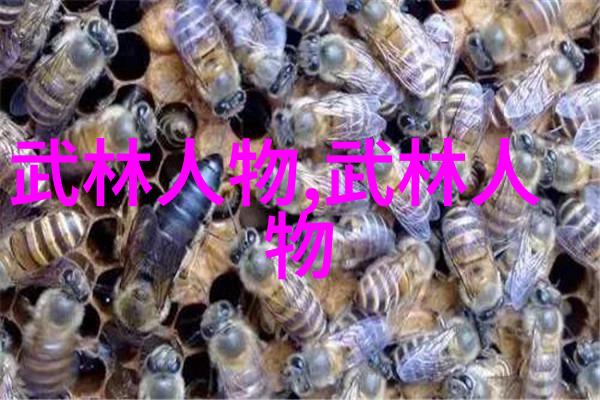 武林资讯揭秘江湖动态关注修真风云