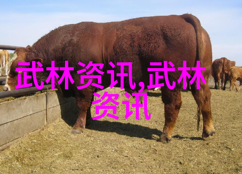青春与帮派-女生帮派的秘密名字揭秘那些风靡校园的称谓