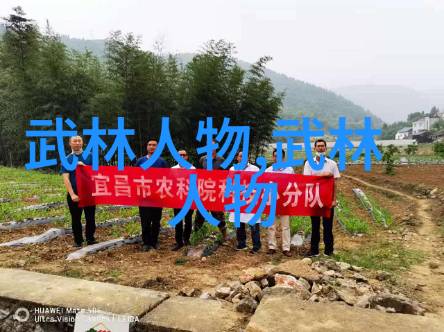 释放内力体验真谛如何正确执行12个基础动作