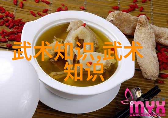 武道秘笈内心之力与体术的完美融合