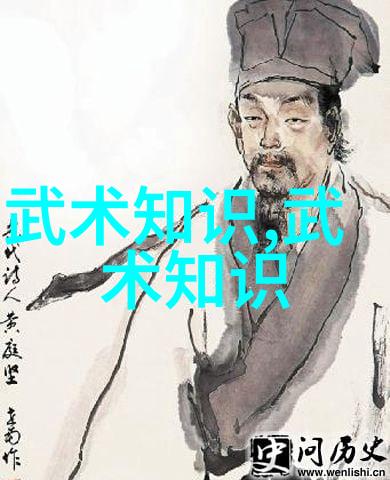武功秘籍大全揭秘拳法中的绝技与奥秘
