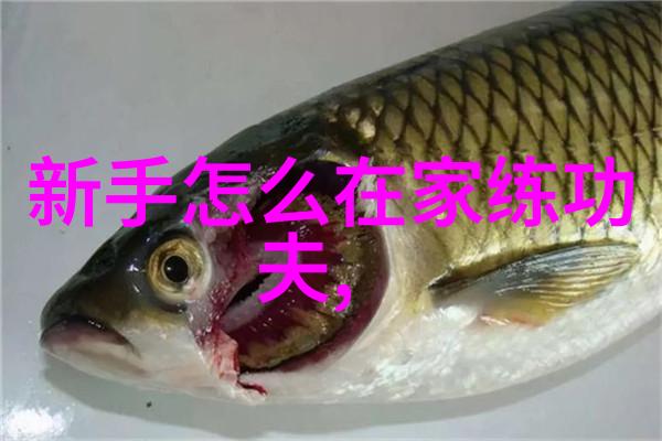 南拳与华拳之争哪种武功更上乘