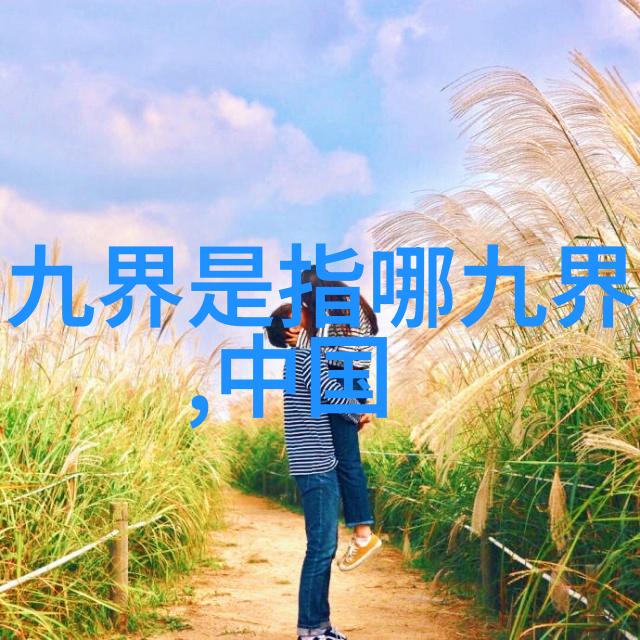 太极拳24式自学图解我来教你掌握这门古老武术一本不需要老师的太极拳学习指南