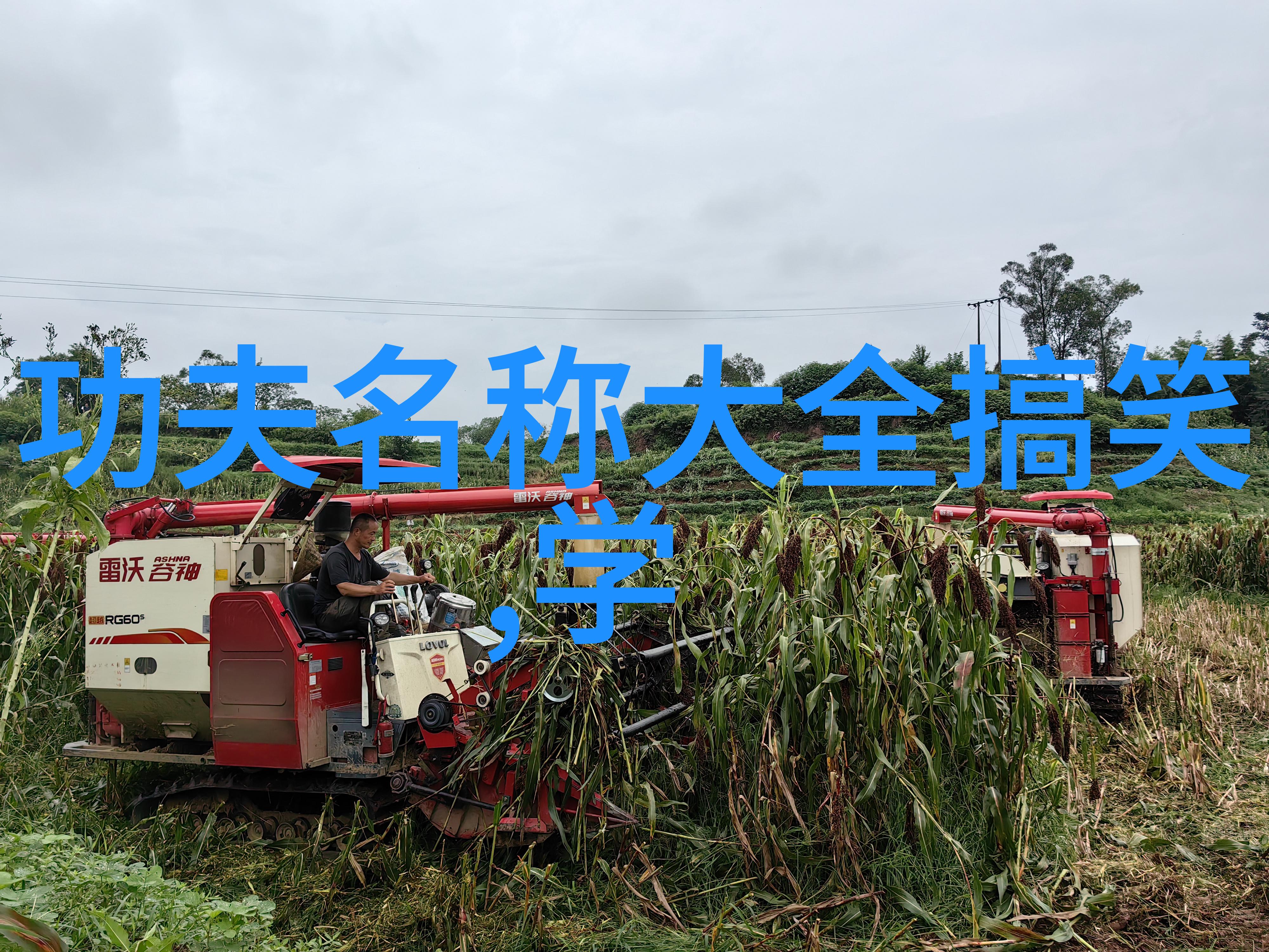 探秘江湖顶尖之门梵音幽径宗的神秘传说