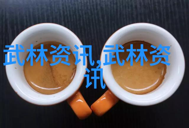 武术入门基础训练掌握基本招式与动作