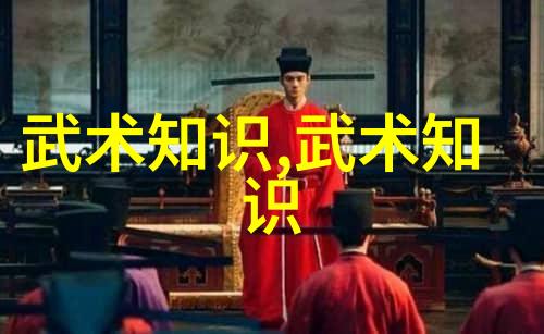 中国武功练习方法中国传统武术的修炼技巧