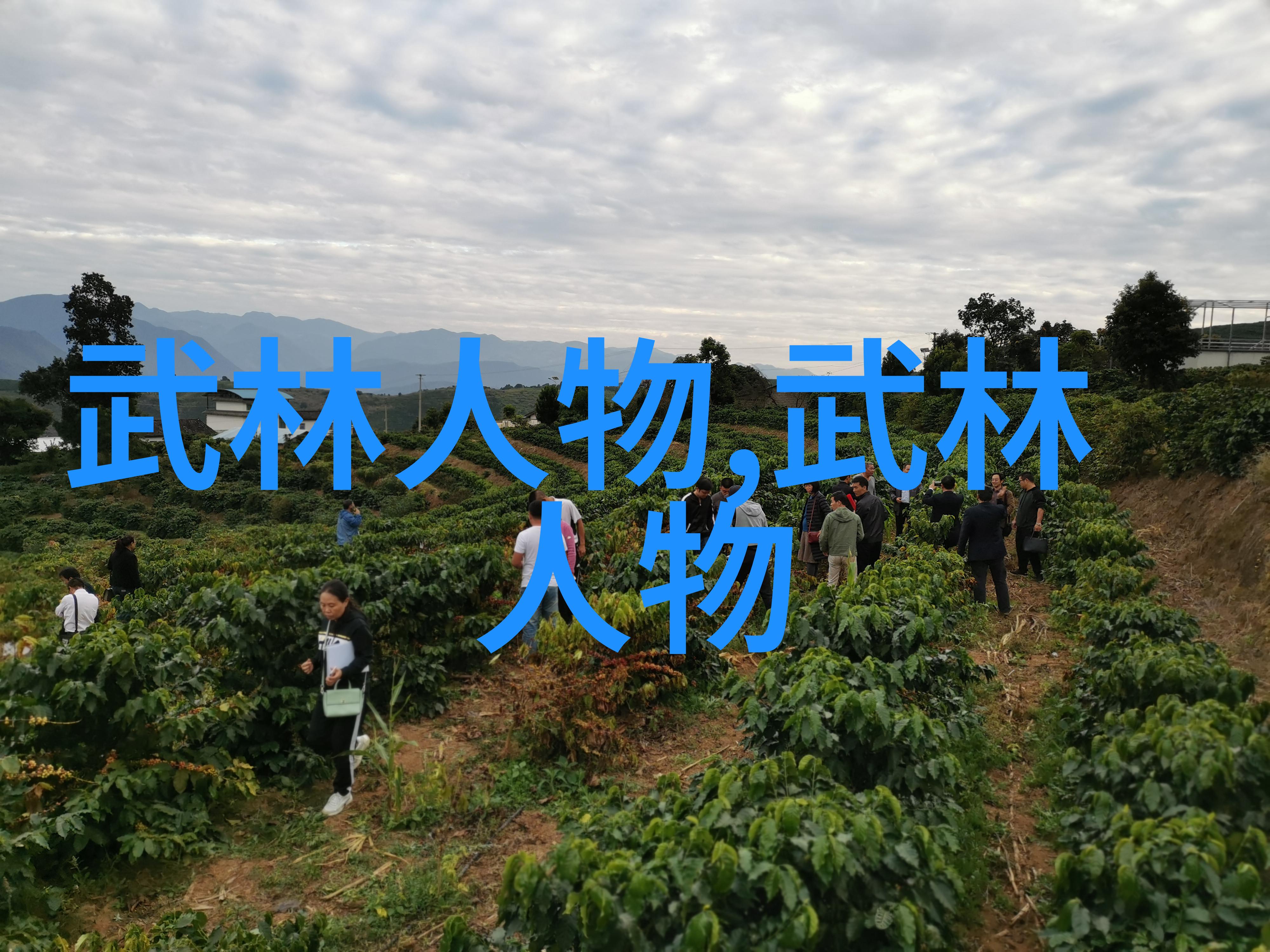 武功门派汇编揭秘江湖中千门万户的武学神秘
