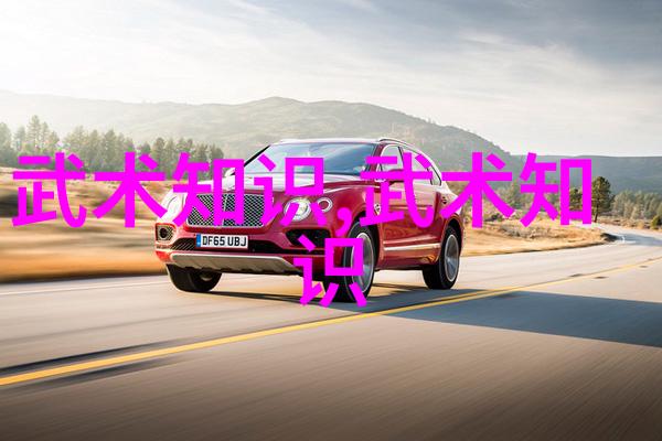 在现代体育项目中中国拳法占据了怎样的地位
