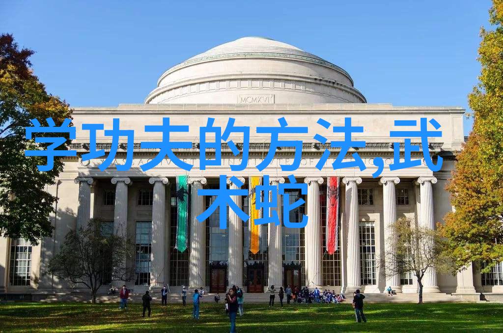 我想学武术自学怎么学探索四两拨千斤的秘密