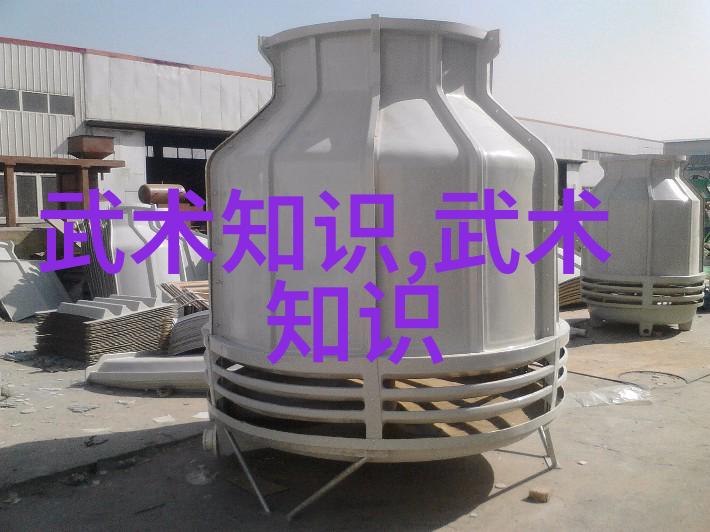 学练太极乐无穷中国功夫秘籍大全高继寿的武林宝典
