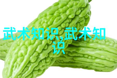 松开的掤劲张志明教你48式太极拳全套口令在社会中的应用