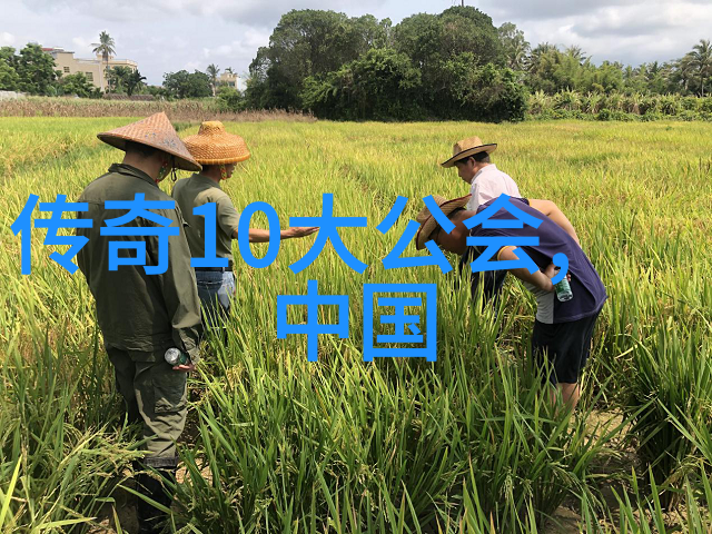安徽武林门派探秘揭开安徽武术文化的神秘面纱