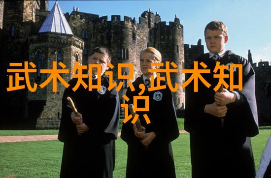 怎样才能练成功夫-磨砺情感共筑和谐婚姻的智慧与方法