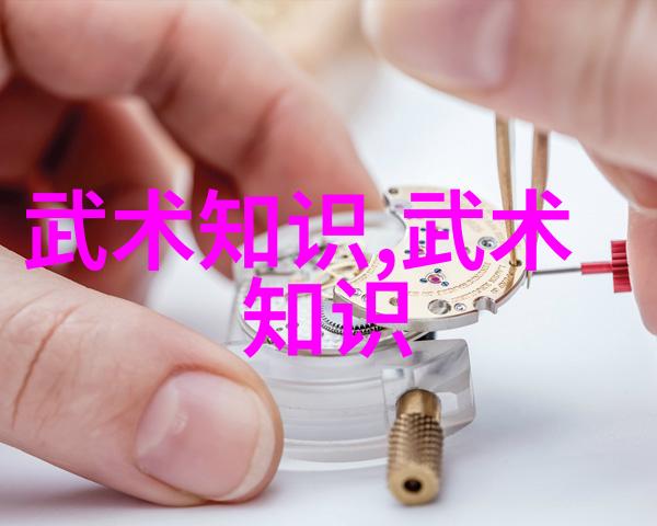 武林秘笈拳影十六式解析