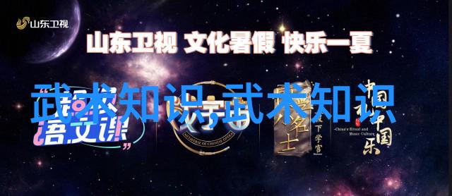 中国功夫秘籍大全掌握中华武术的精髓与实践方法