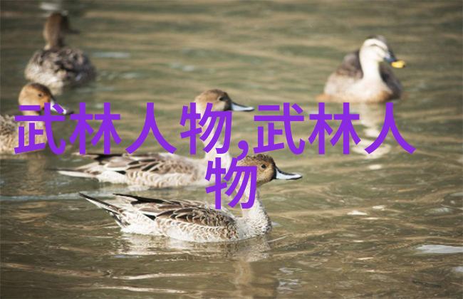武林秘籍解密古代武术训练方法中何种技巧最适合内力修炼