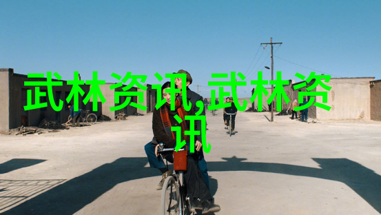 太极门赵堡太极拳  帮派武学的巅峰之作