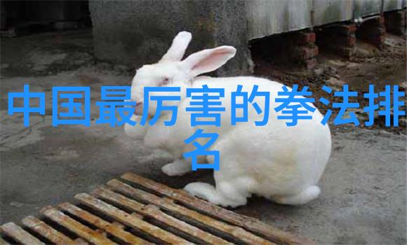 主题我亲眼见证的武林绝学中国体系最庞大的武术门派