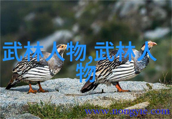 中国武术秘籍书中的太极拳犹如时间的滋养者