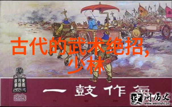 在自然的怀抱中修真功法秘籍9000部太极拳身气意习练述要-程元江