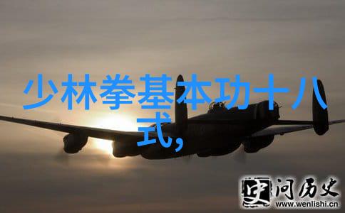 古代武林门派谱系探秘千年功夫世家的传承与秘密