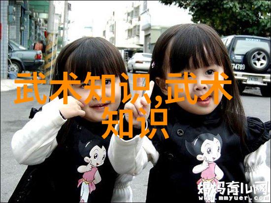 身体语言与心灵连接理解不同形式中医在推拿太极少林等武术中的应用