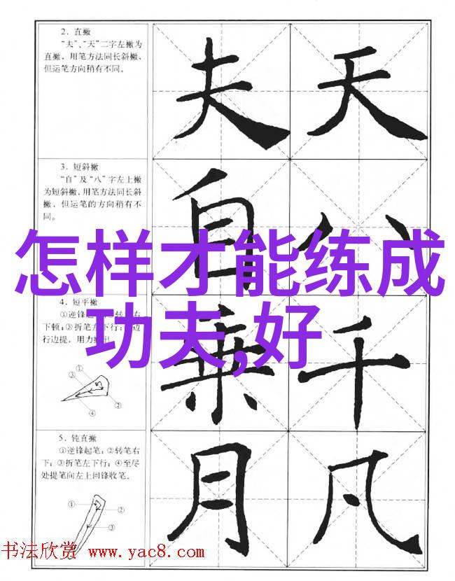 解密太极剑法正面背面的应用与演练