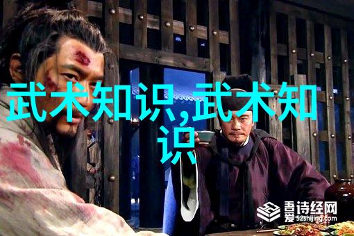内家外家的辨证解读中国最有影响力的武术流派