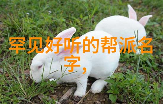 气血精力探究气血精在养生与练习中所扮角色的重要性