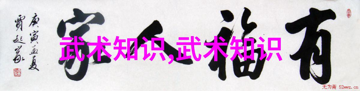 揭秘中华武学中国有哪些著名的内家拳派