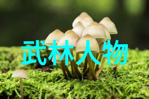 武林有几个门派我在江湖上走了几遭也算是知道一点点