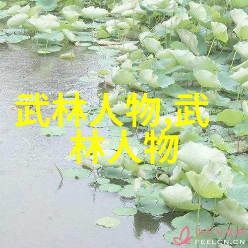 武林秘籍功夫全集探秘