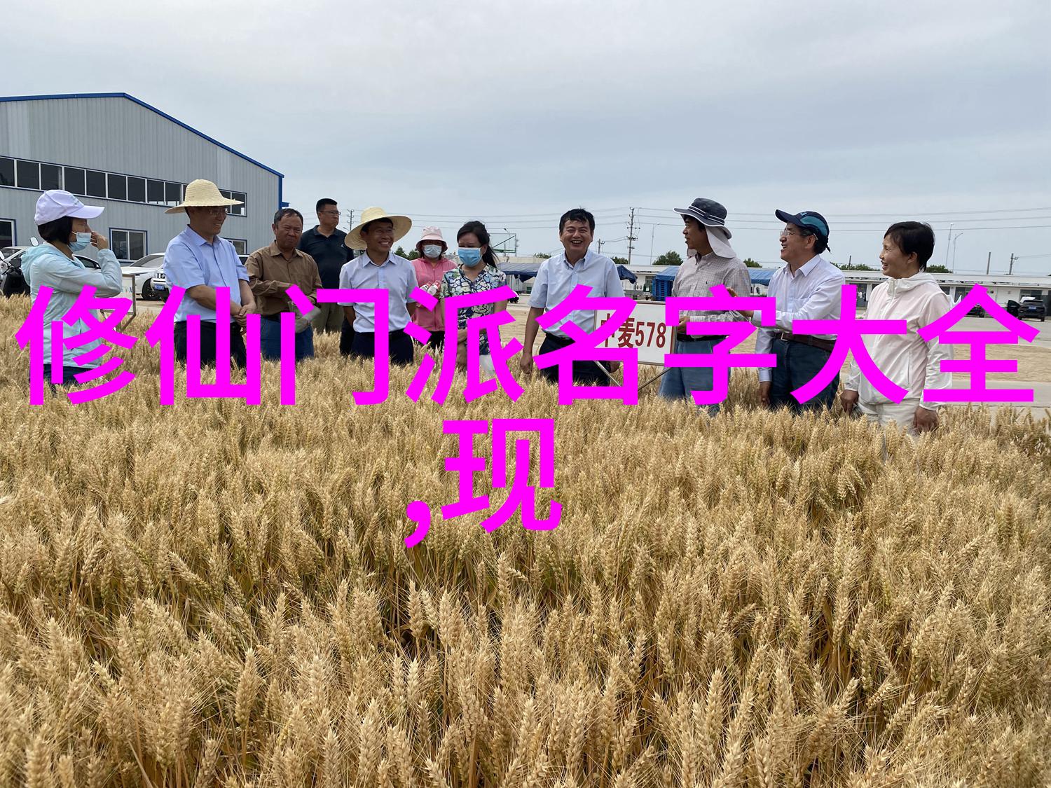现代混合武术是不是未来