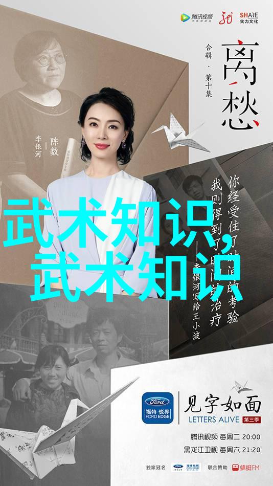 从形意到八卦解析中国武术十大拳法的特点
