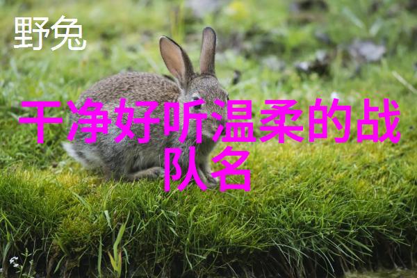 武术初学者从基础功法到实战技巧的探索