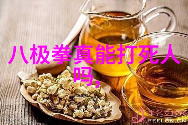 中国最有实战性的功夫揭秘太极拳的精髓之谜