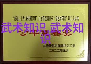 古代最强武功太极拳套路的核心要素王文贤所传反复之道