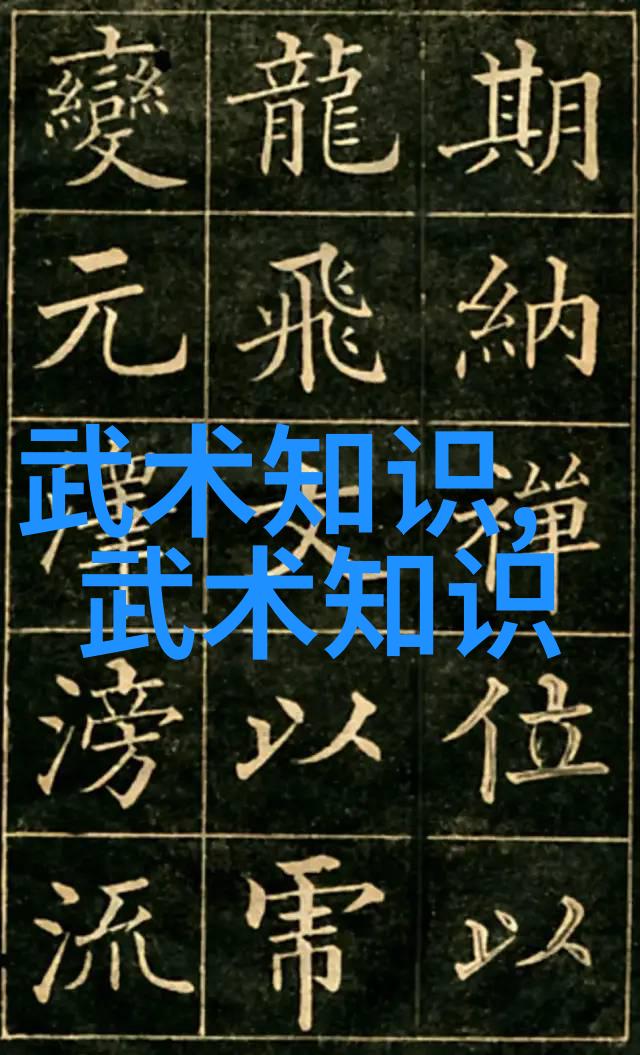 中国最有实战性的功夫揭秘武术中的绝技与战斗策略