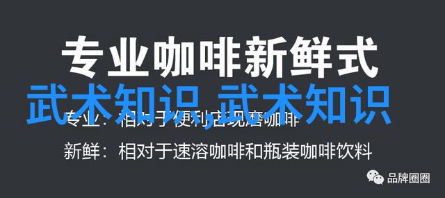 武学典范解读中国武术中的十三式与其背后的哲学